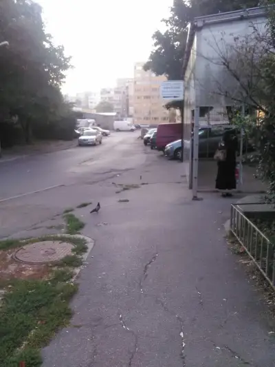 Отдел ''Общински приходи - Люлин''