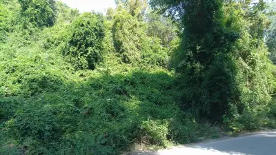 Bungalows Raiski Kat