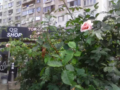 Аптека "Любен Славчев"