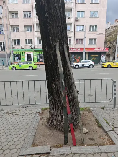 Дрехата БГ