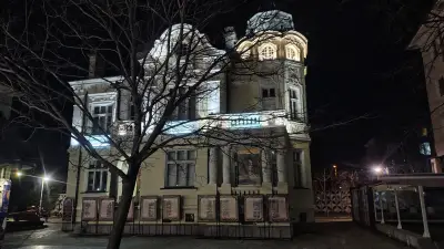 Художествена галерия „Димитър Добрович“