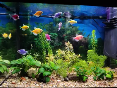 Зоомагазин ЗооСвят / Aquarium & Pet Shop