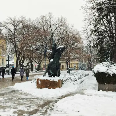 Дирекция "Бюро по труда" - Силистра