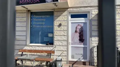 Мимоза
