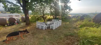 Конна база Оренда
