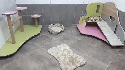 K&G Furniture
