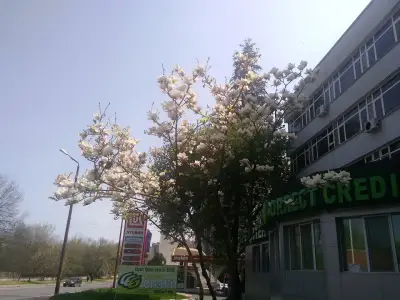 Лукойл Б006