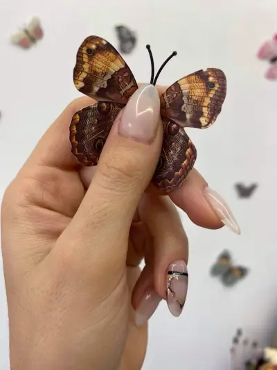 Dara Nails Beauty Studio
