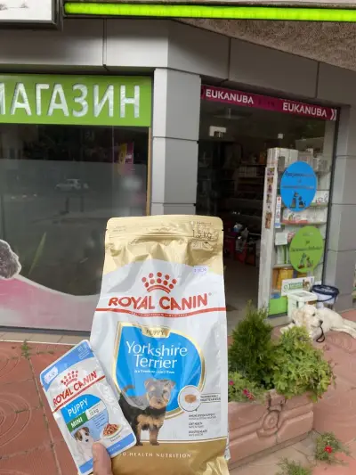 Груминг салон "Алекс груминг студио"