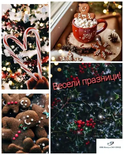 НИК консулт 2019 ЕООД
