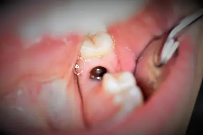 Дентален кабинет „Ивадент“ / Dental studio “Ivadent”
