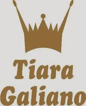 TIARA GALIANO - Производител на Дамско бельо и Бански костюми