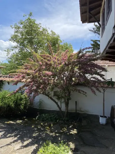 Chiflik Elena Guest House