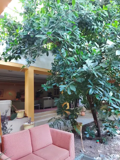 Hotel Bankya Palace