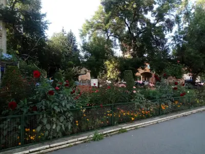 АВТО ТАНЕВ