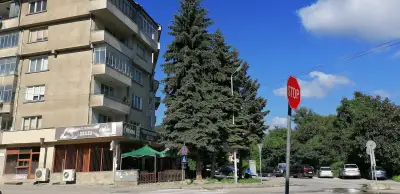 Пифреш ЕООД