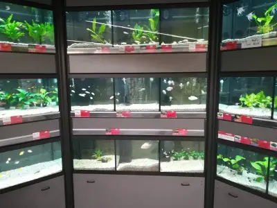 Zoomania Megastore Plovdiv 2