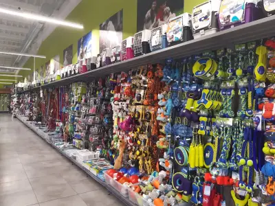 Zoomania Megastore Plovdiv 2