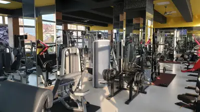 Фитнес MEGA GYM