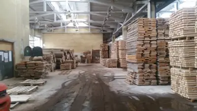 "Стоеви Максгруп" ЕООД