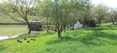 Camping Vasil Levski