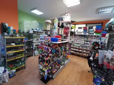 Зоомагазин Клео