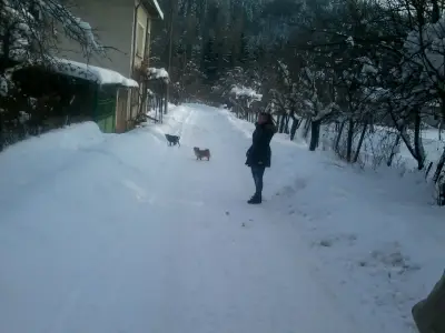 Къща За Гости Маги