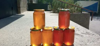 Био пчеларска ферма "Чорбаджийски мед"