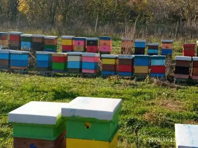 Био пчеларска ферма "Чорбаджийски мед"