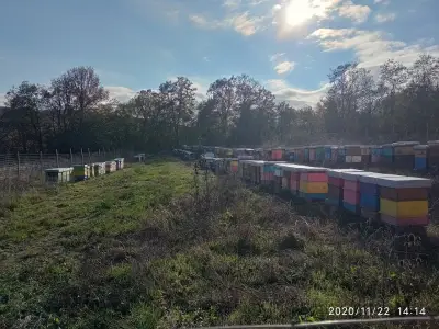 Био пчеларска ферма "Чорбаджийски мед"