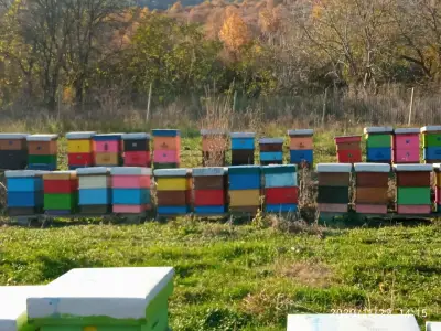 Био пчеларска ферма "Чорбаджийски мед"