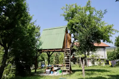 Шишарка spot