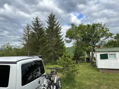 Шишарка spot
