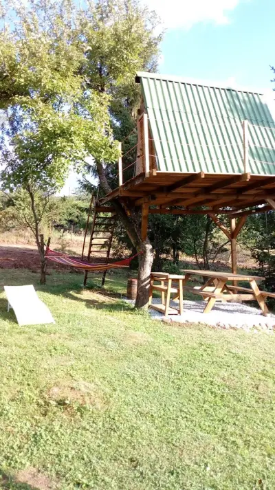 Шишарка spot