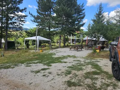 Шишарка spot