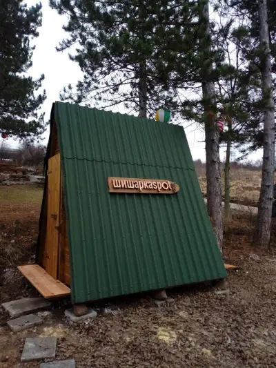 Шишарка spot