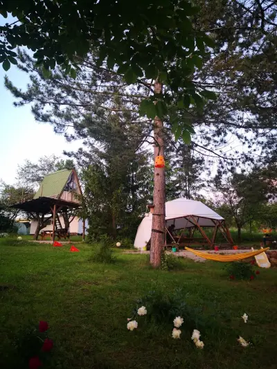 Шишарка spot