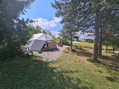 Шишарка spot