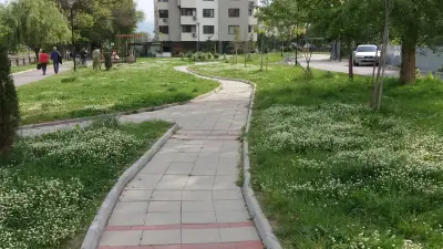 Холистичен център "Божествена" - Калинка Йорданова