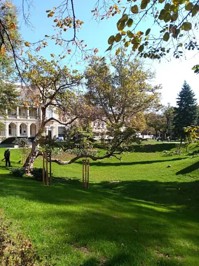 Gradina Kristal