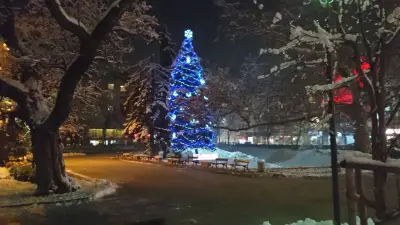 Gradina Kristal