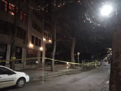 Посолство на Япония