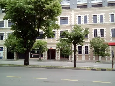 dm България