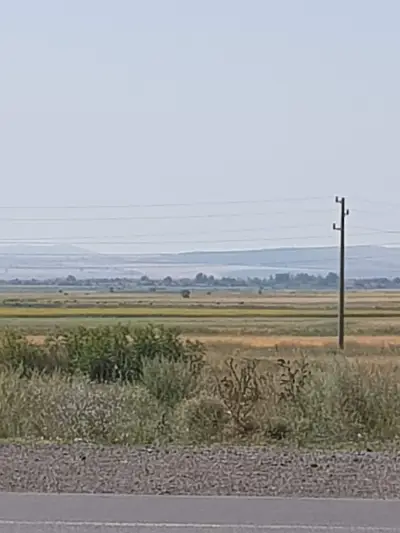 Петрол