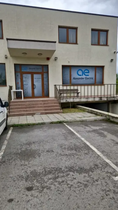 Александър Електрик