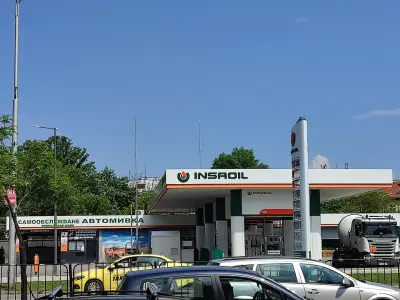 Insa Oil