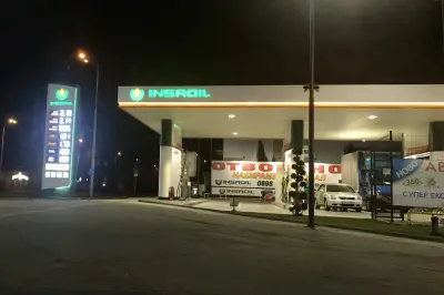 Insa Oil