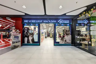Д-р Стефанов
