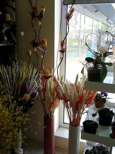 "MY FLOWERS-Цветя Роси" Доставка на цветя