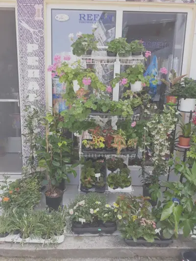 "MY FLOWERS-Цветя Роси" Доставка на цветя